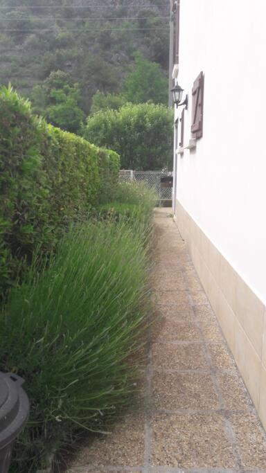 Jolie Maison Avec Jardin Villa วิลล์ฟรานเช-เดอ-คองฟลองท์ ภายนอก รูปภาพ